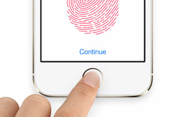 fingerprint